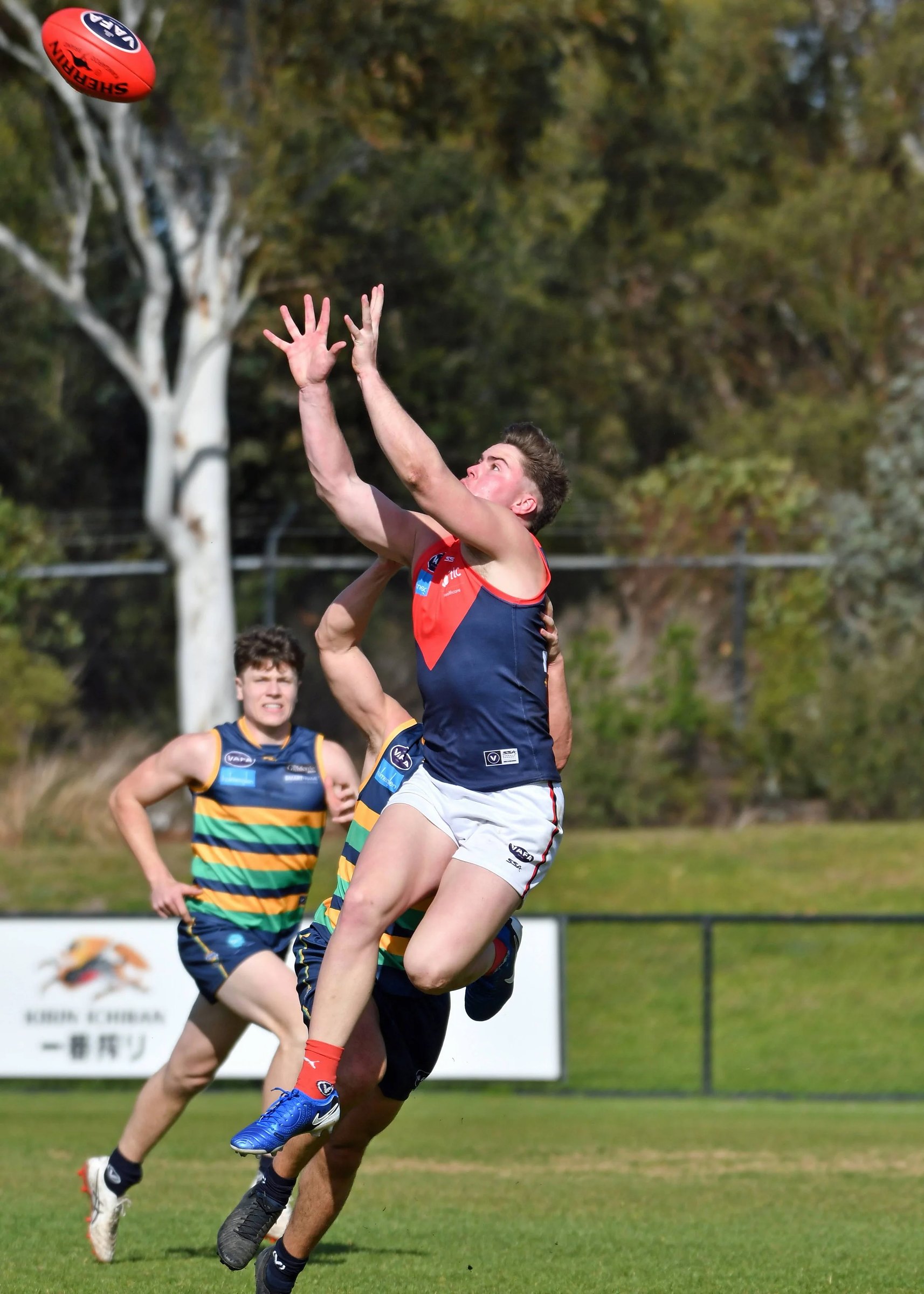 An Old Brighton player takes a high mark